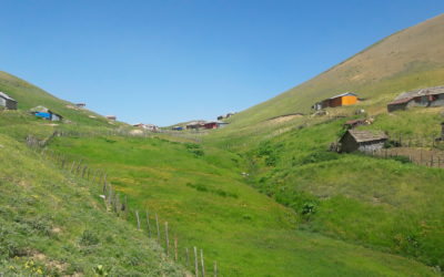 RILASSIAMOCI UN PO’  Deran e i papaveri, nel nord-ovest dell’Iran